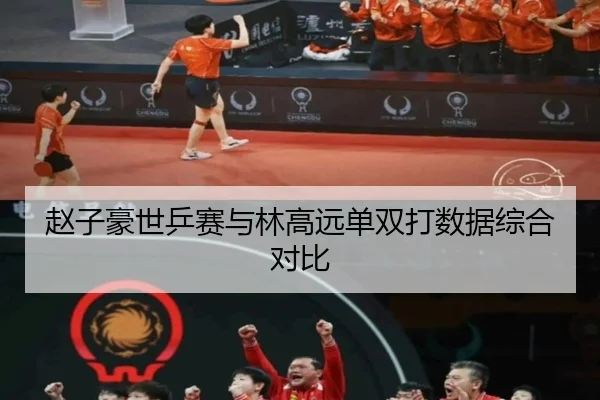 赵子豪世乒赛与林高远单双打数据综合对比